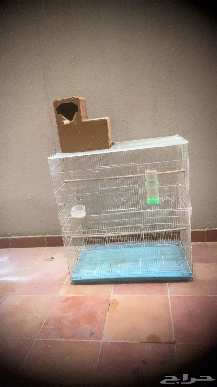 قفص طيور للبيع64409948804995114