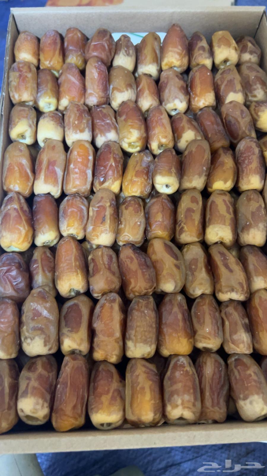 صقعي رطب64406849049218111