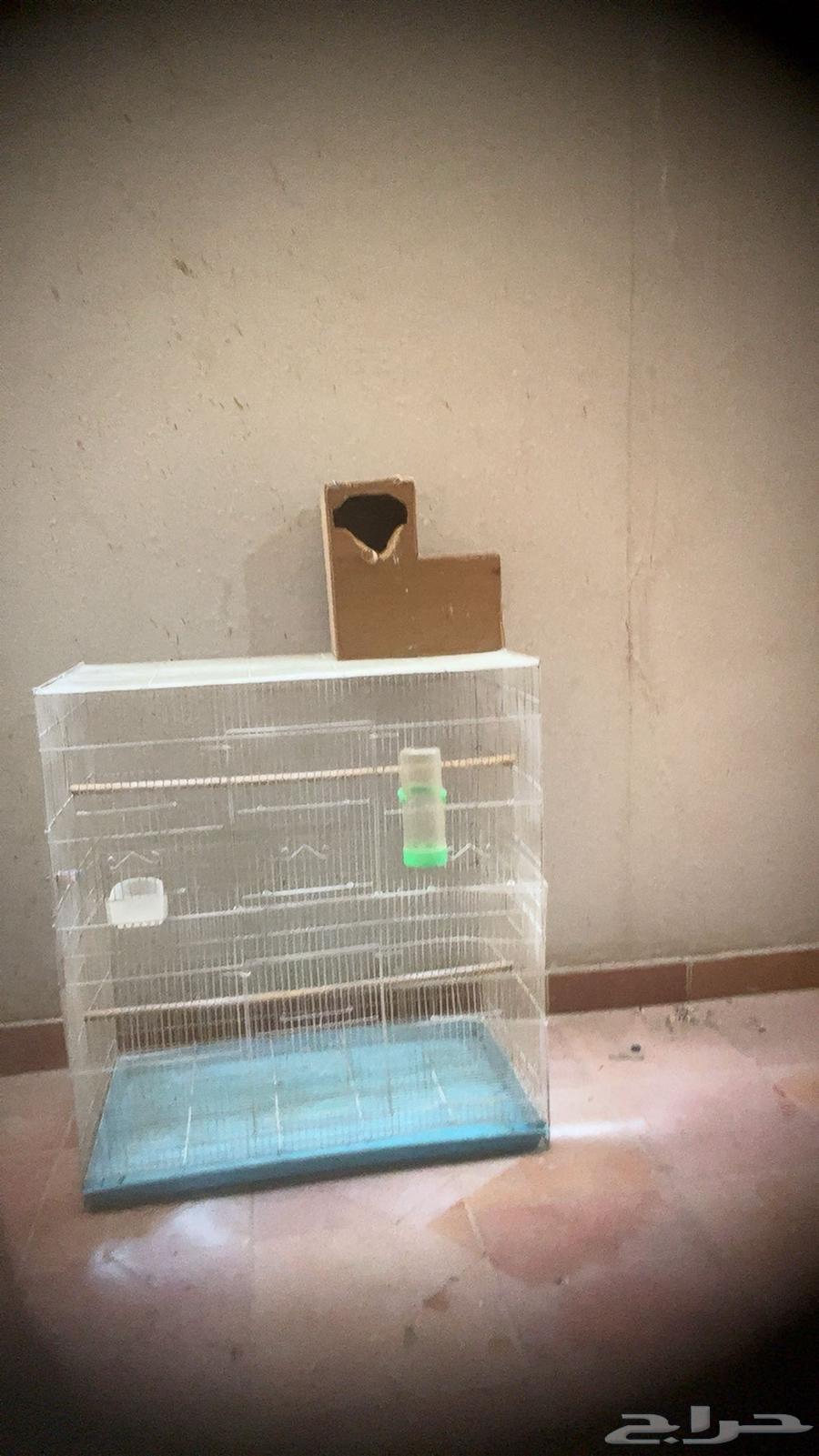 قفص طيور للبيع64409948804995111