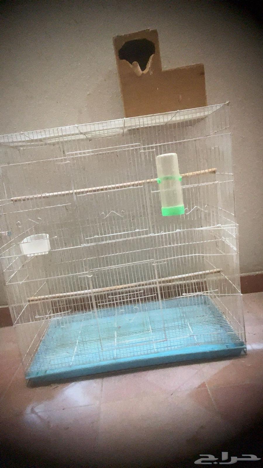 قفص طيور للبيع64409948804995110