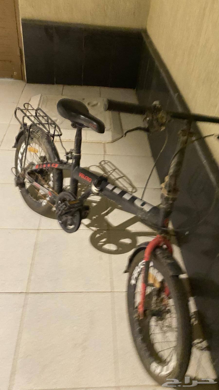 سيكل والله ما اعرف نوعه لكن قعد معي سنتين و جنزيره خربان64410494698370114