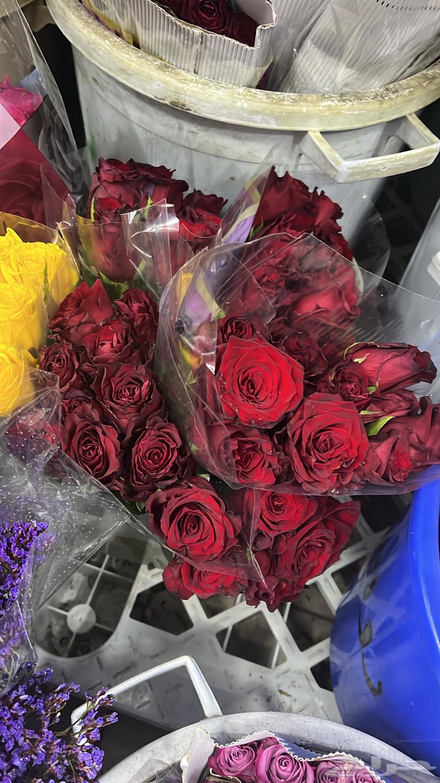 ورد طبيعي بالجمله وتوزيعات المناسبات64406318901891114