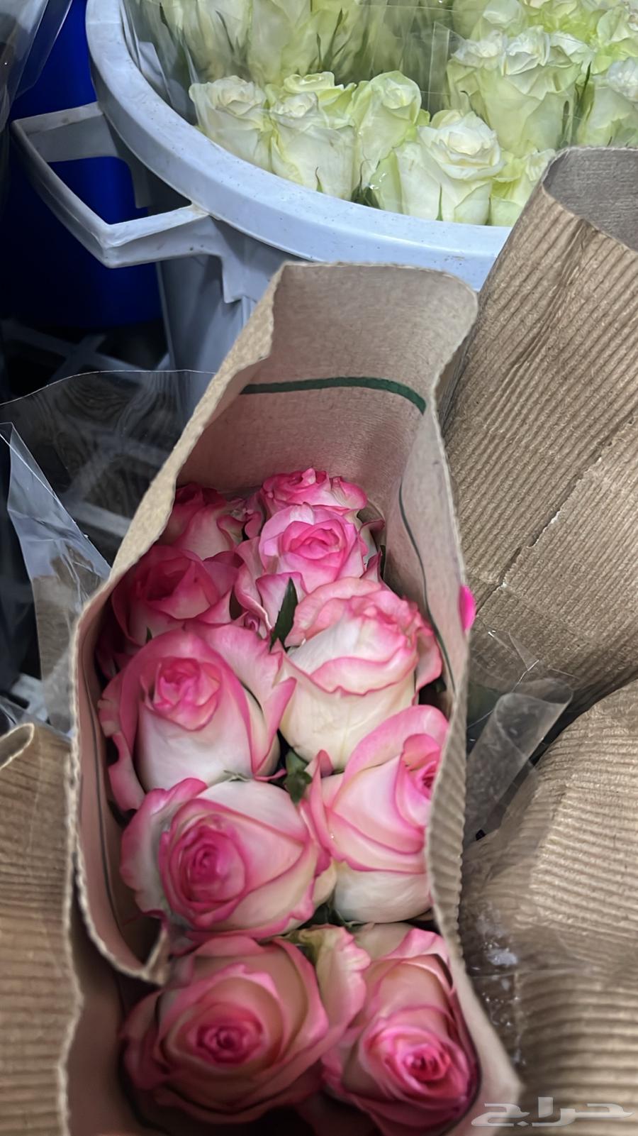 ورد طبيعي بالجمله وتوزيعات المناسبات64406318901891113