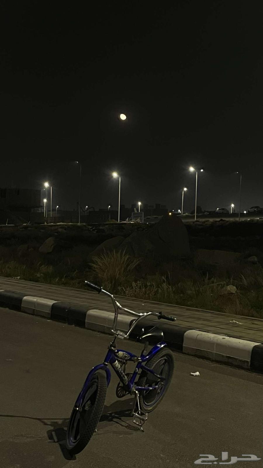 Cobra Bicycle Size 2264409464147202113