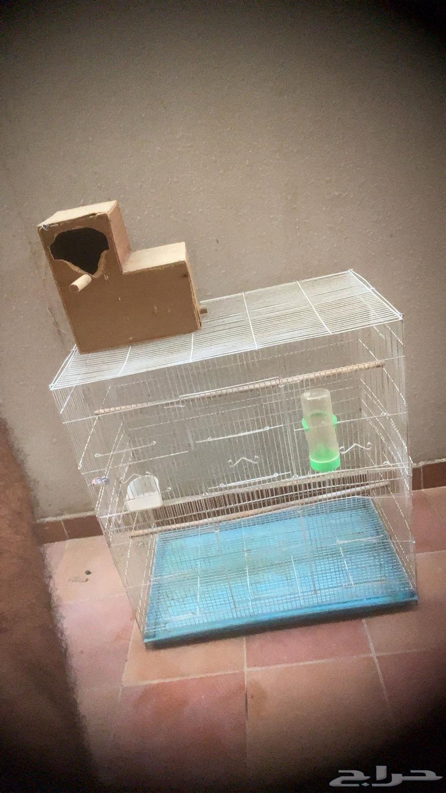 قفص طيور للبيع64409948804995113