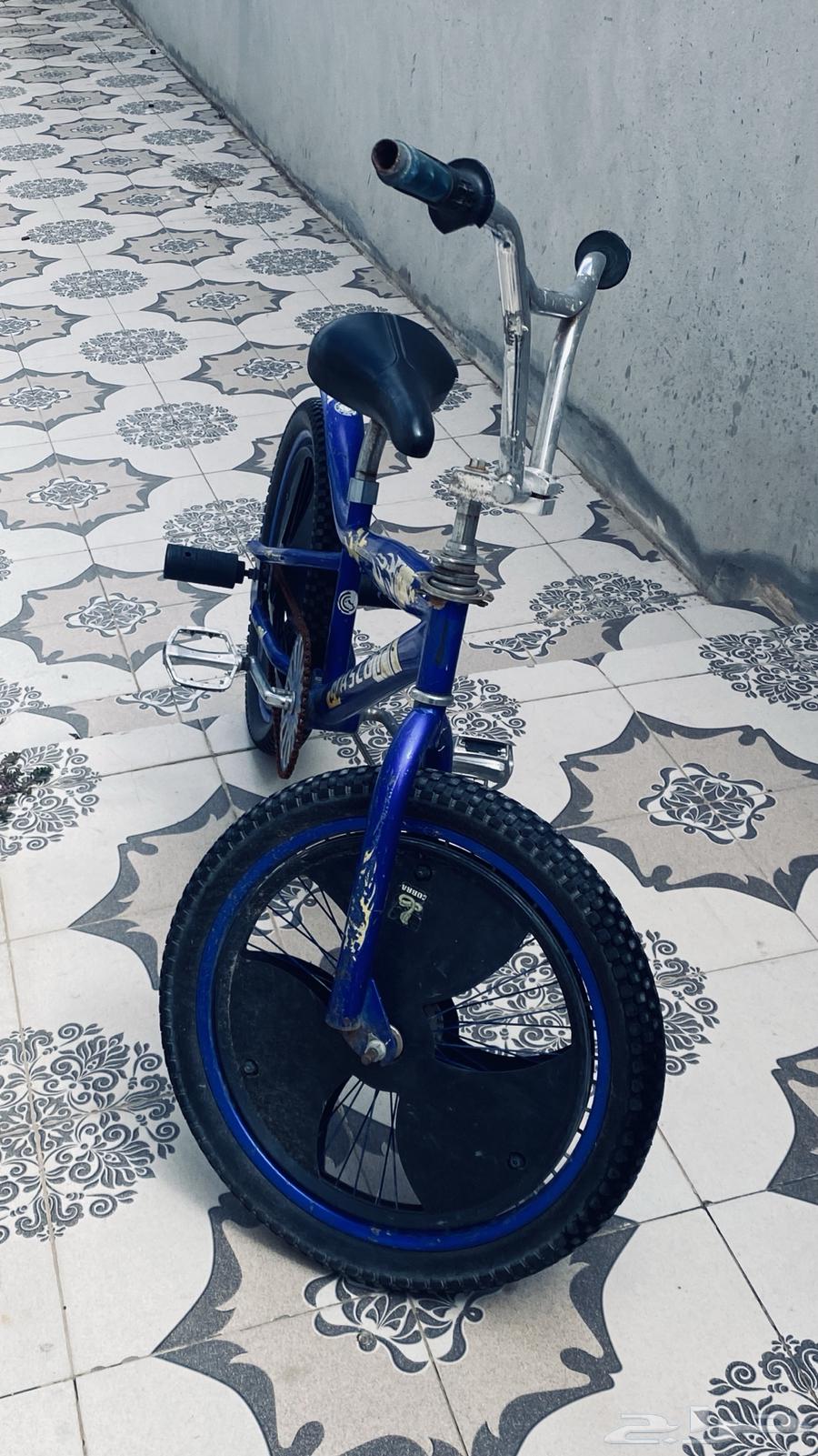 Cobra Bicycle Size 2264409464147202110