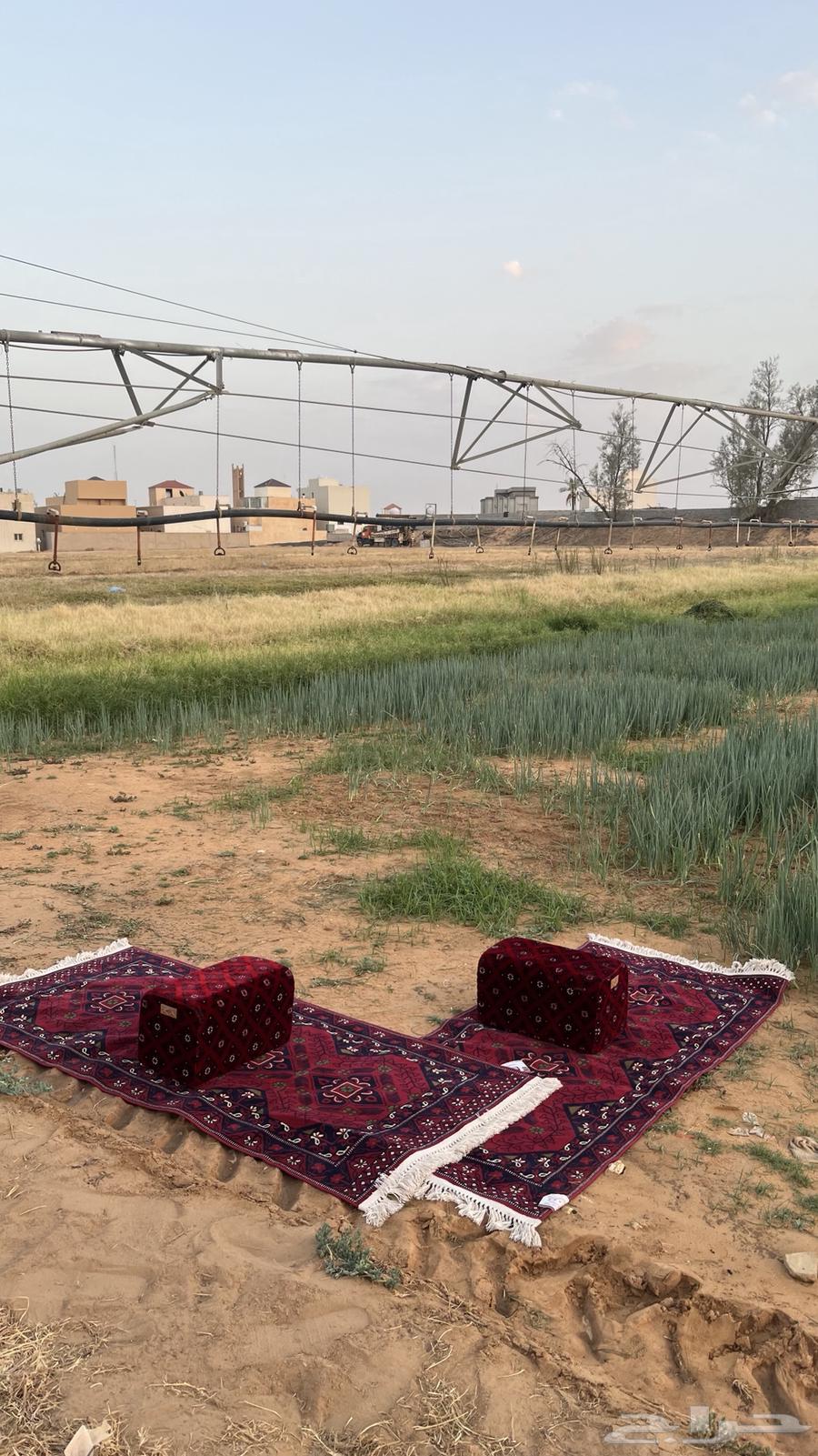 للبيع مراكي برق الحيا64411902018433110