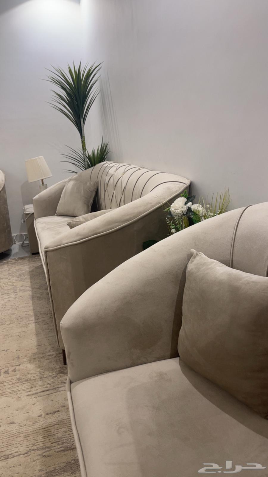 Sofa64410595029634113