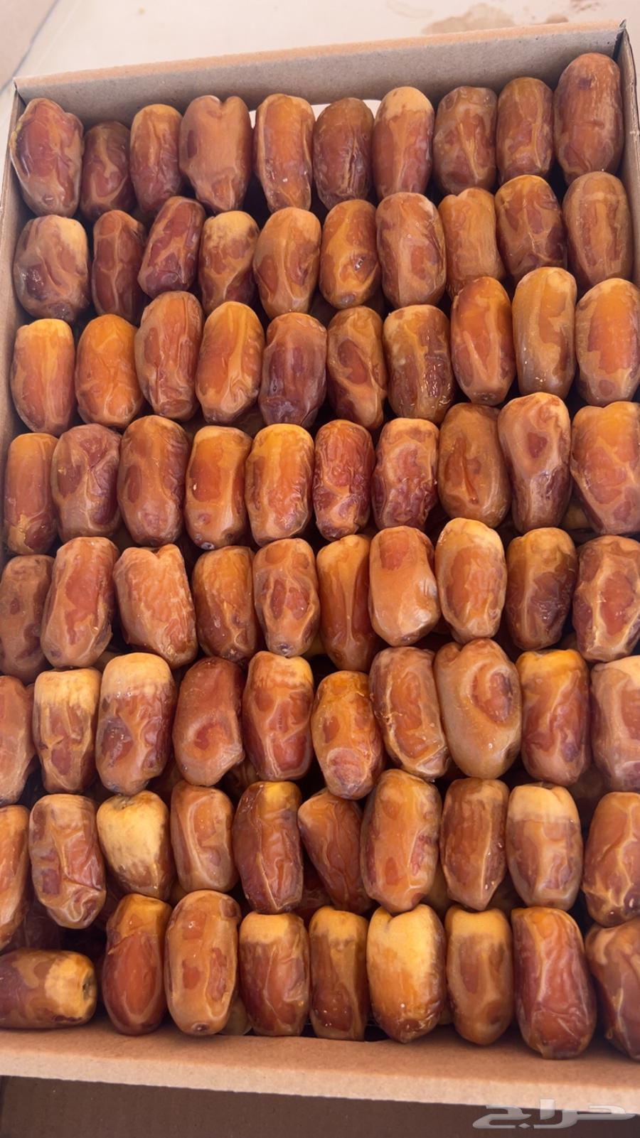 صقعي رطب64406849049218110