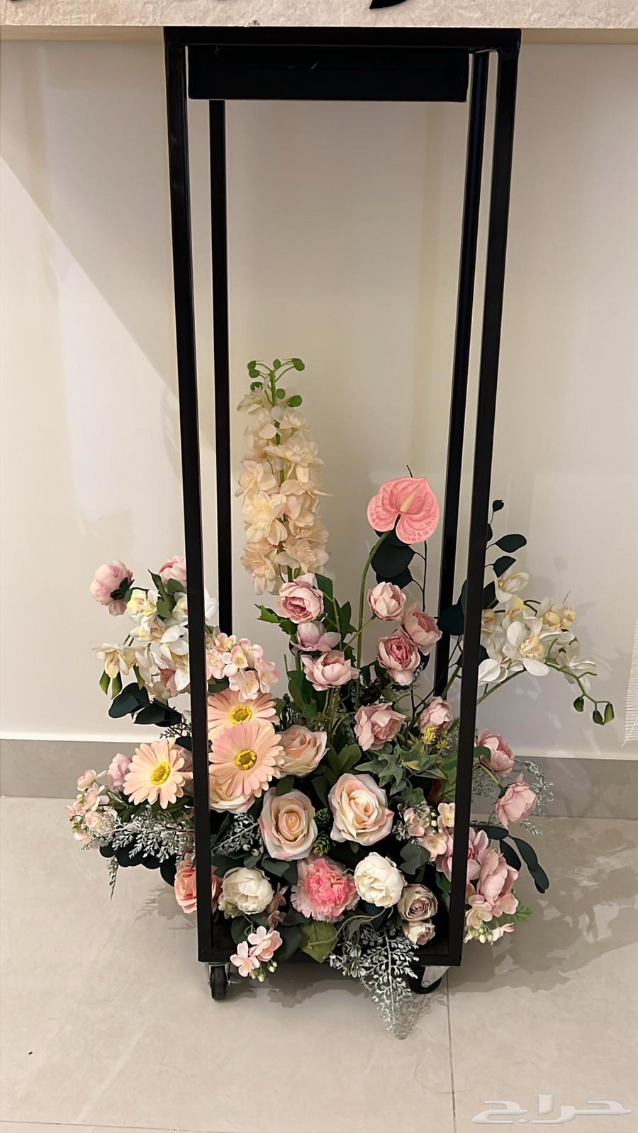 عربية ملكه عربية شبكه64404972989441111