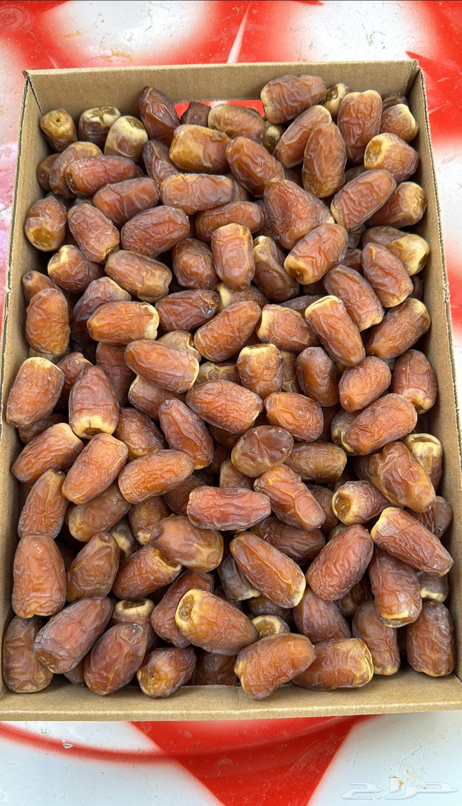 تمر حائل رطب ومناصيف64407266232451112