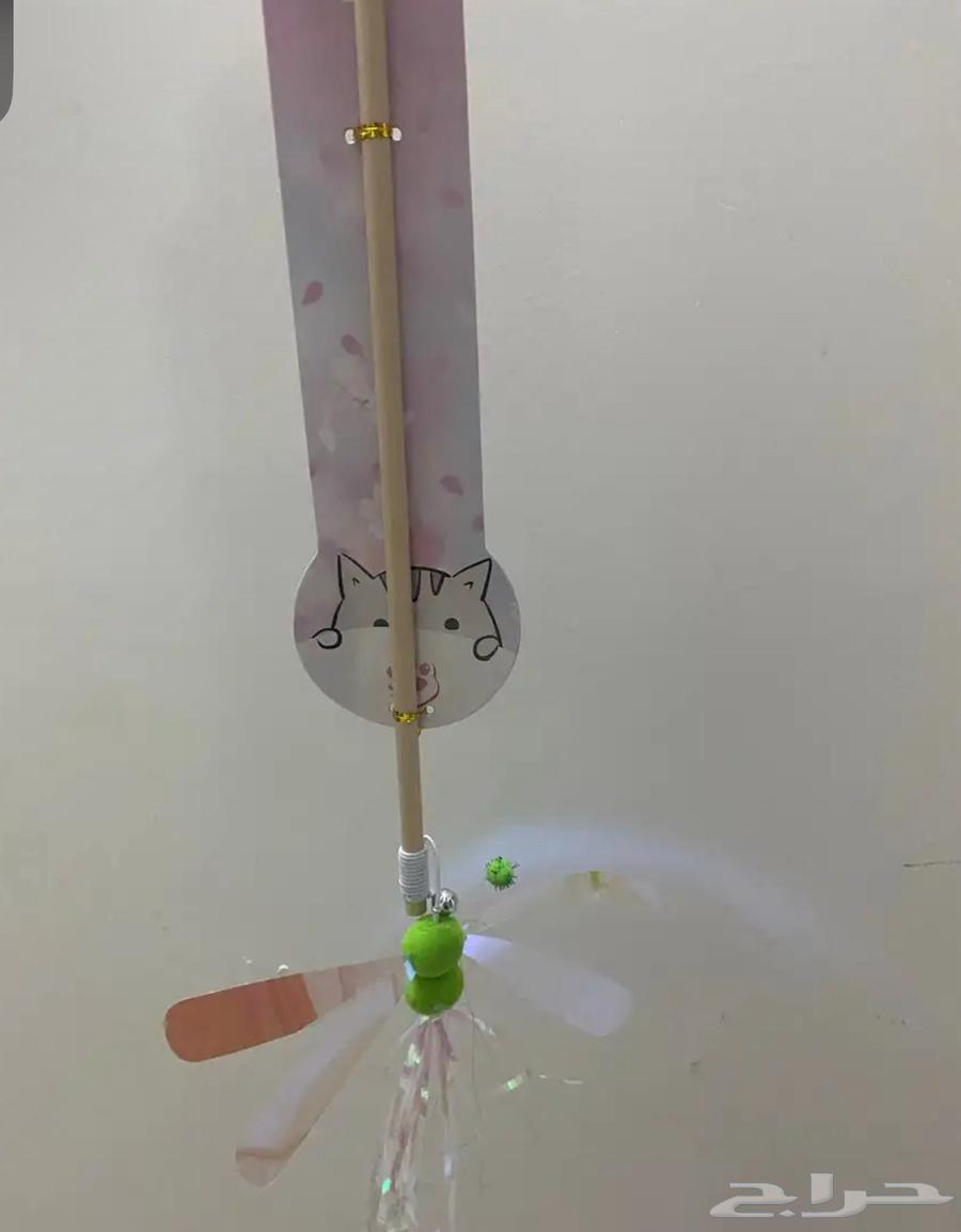 مستلزمات قطه جديده64411297565698113