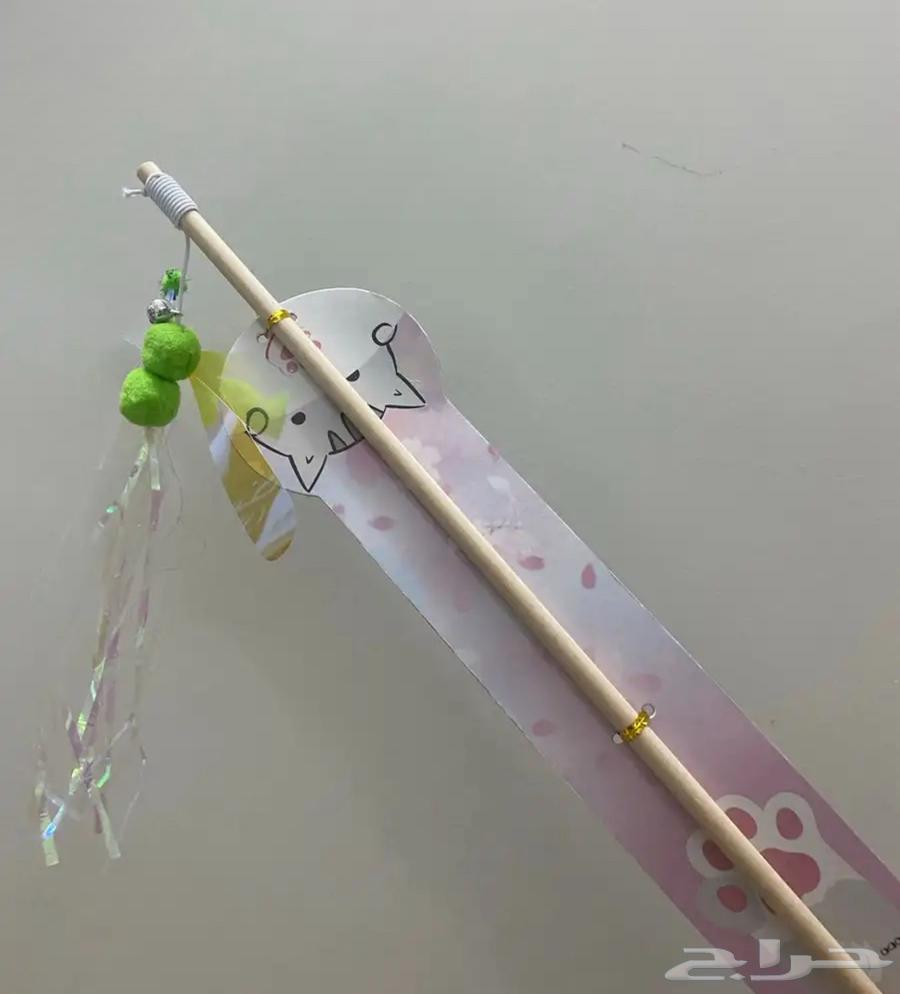 مستلزمات قطه جديده64411297565698114