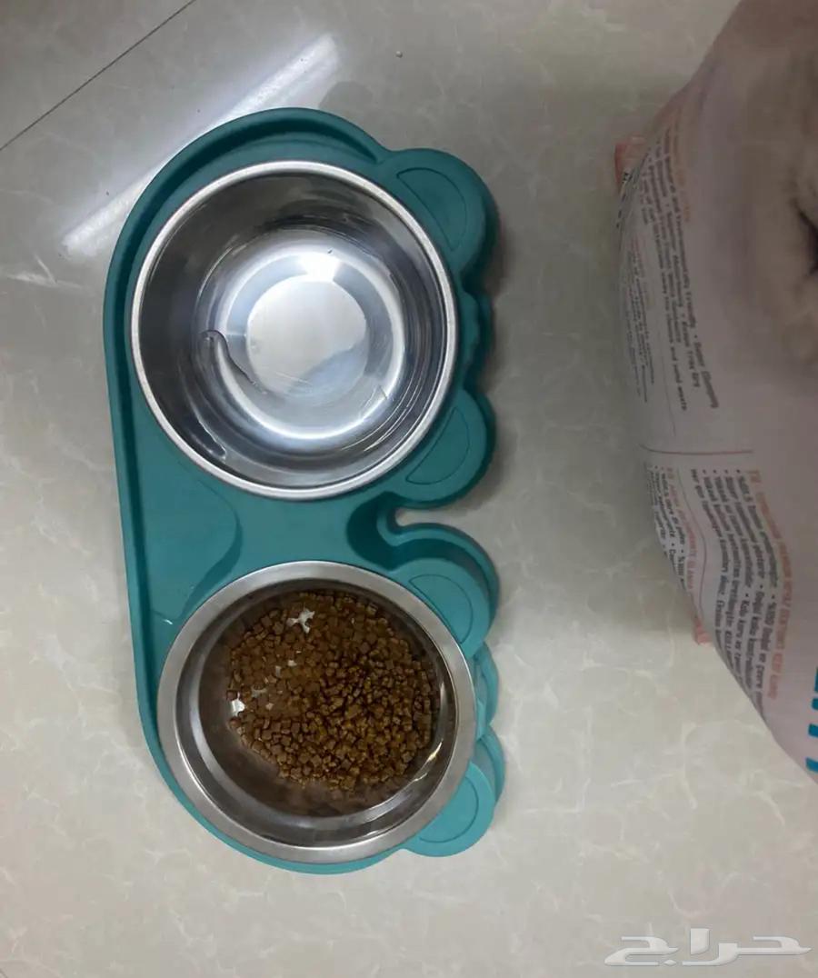 مستلزمات قطه جديده64411297565698111