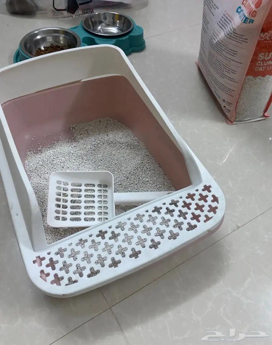 مستلزمات قطه جديده64411297565698112