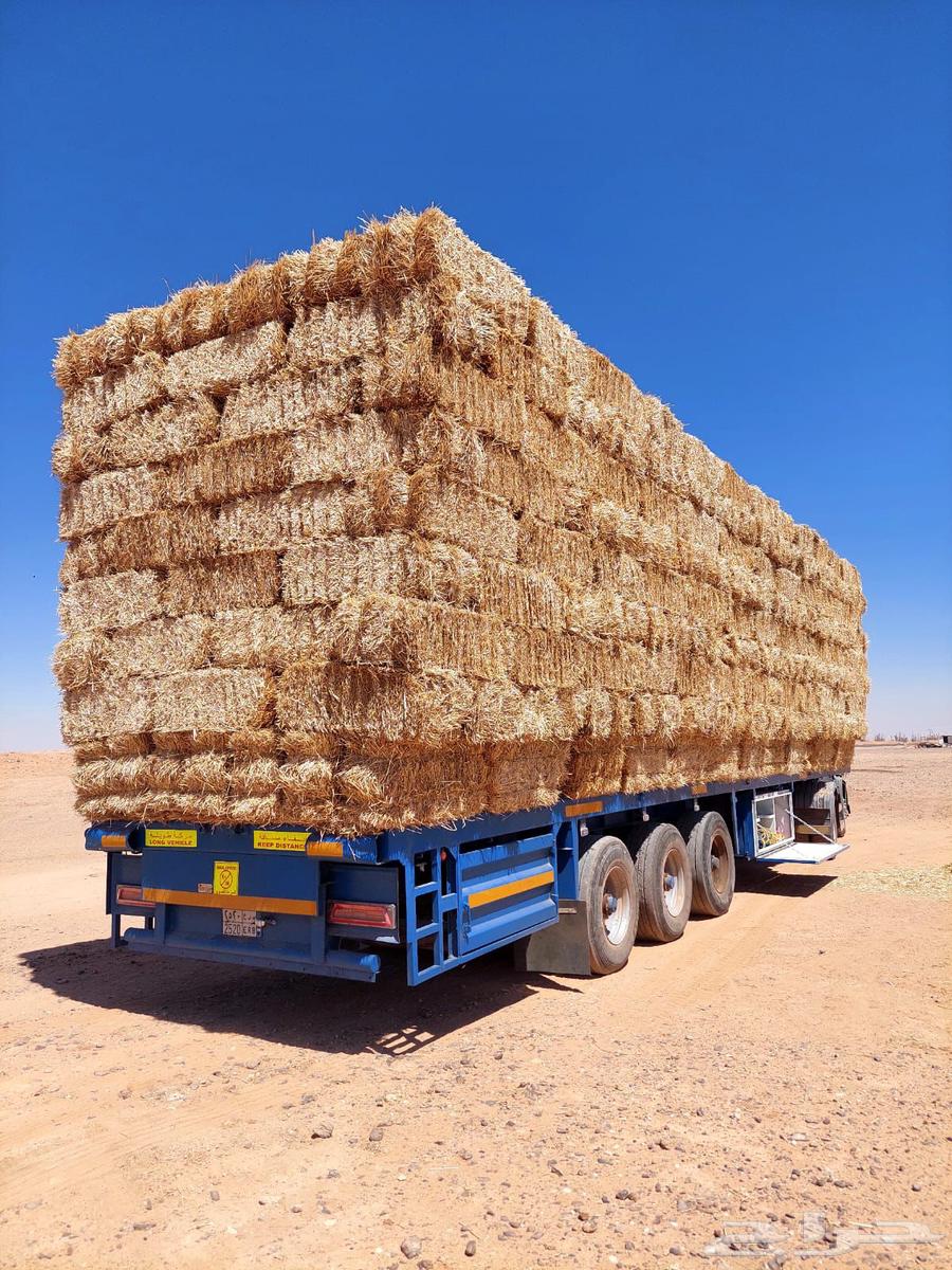 Wheat Straw (Cash on Delivery)64408343673219113