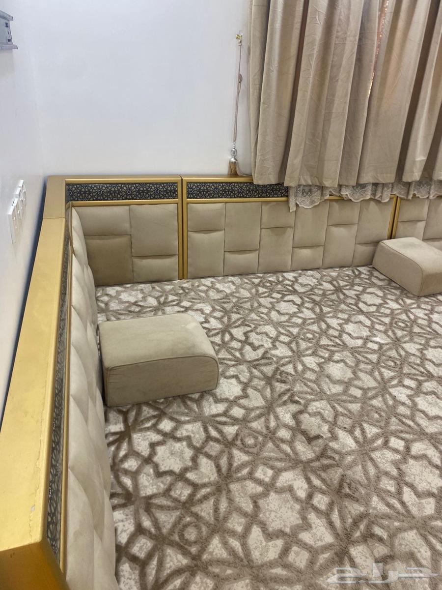 New carpet with curtains64408737228547110