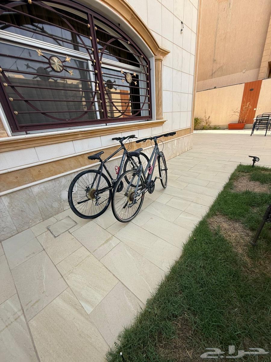 دراجتين ابلاند هجين جديدة64409740973954112