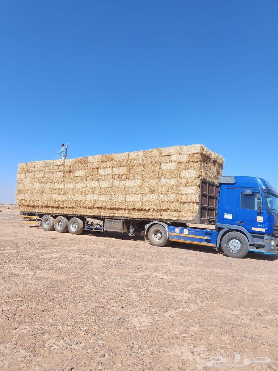 Wheat Straw (Cash on Delivery)64408343673219110