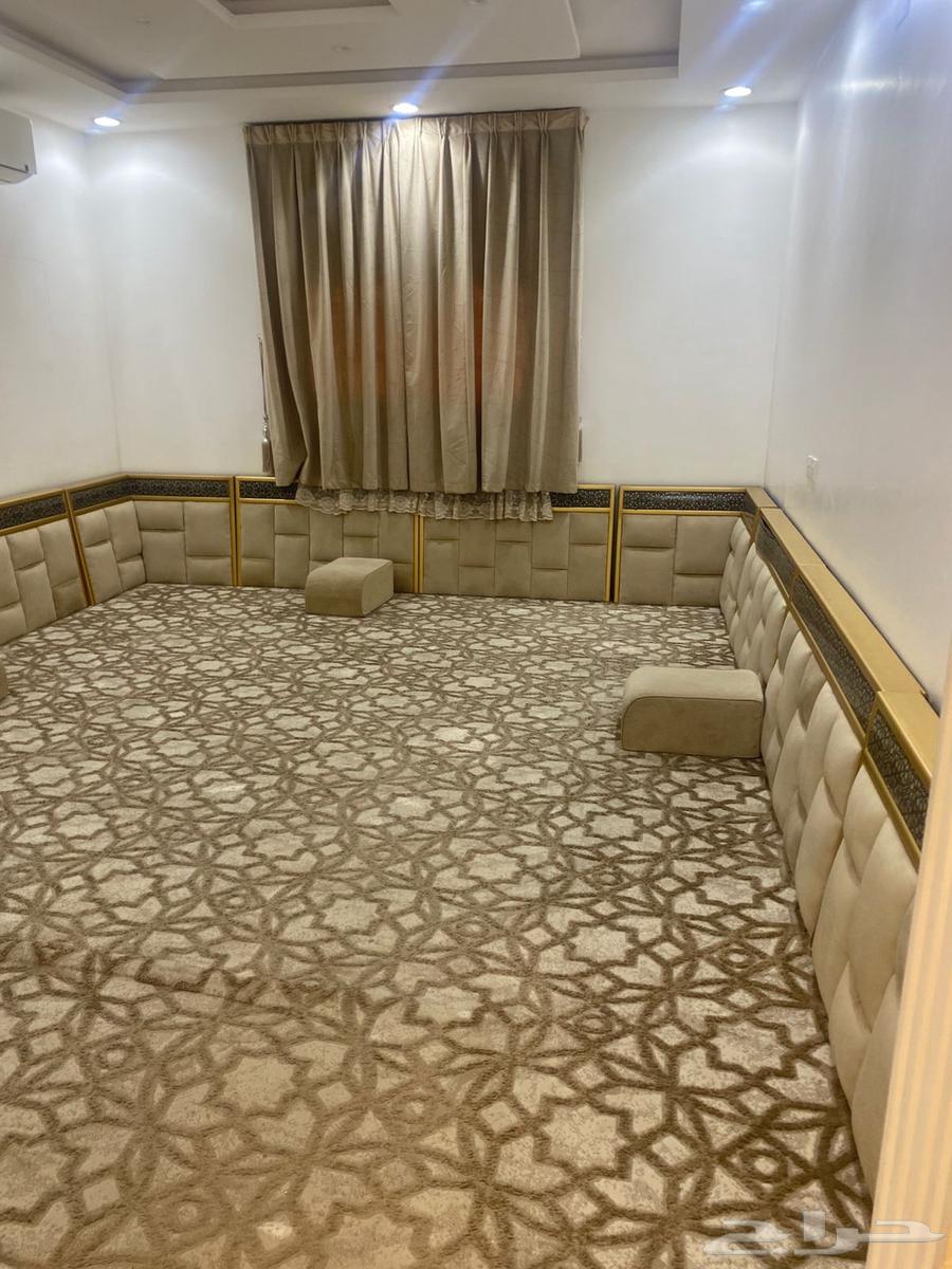 New carpet with curtains64408737228547111