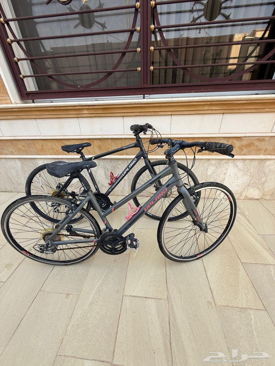 دراجتين ابلاند هجين جديدة64409740973954110