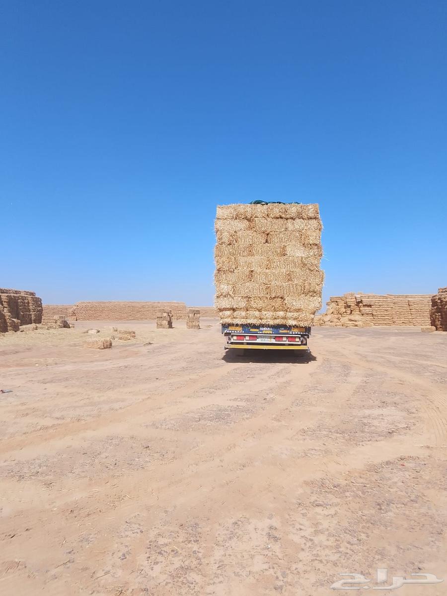 Wheat Straw (Cash on Delivery)64408343673219111