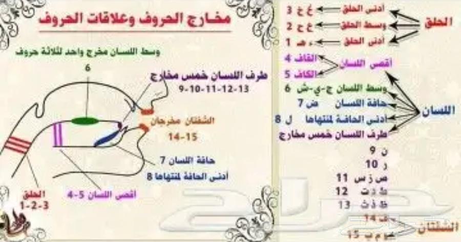 اخصائية تخاطب وخبره فى علاج اللدغات وباحثةماجستير ف التخاطب64405847035905114