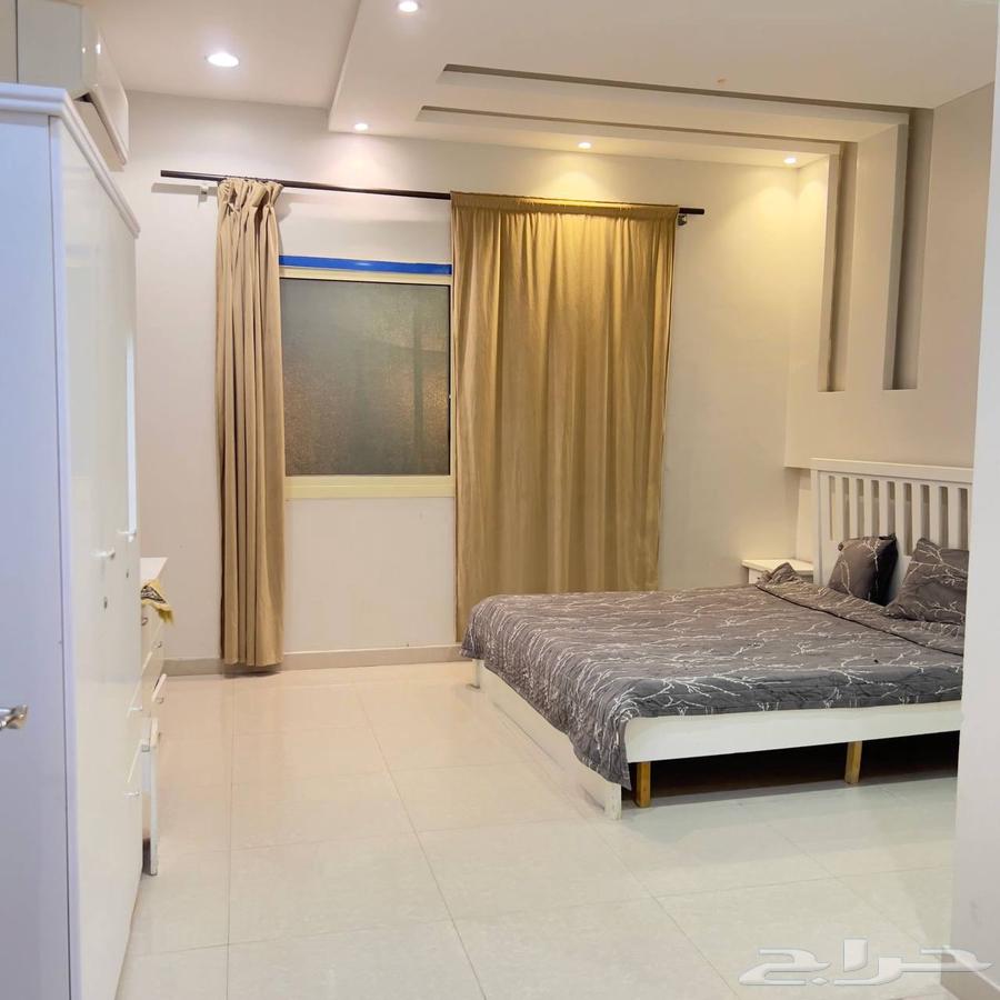 عرض خاص 295 ريال شاليه عرض المدارس64409324650242114