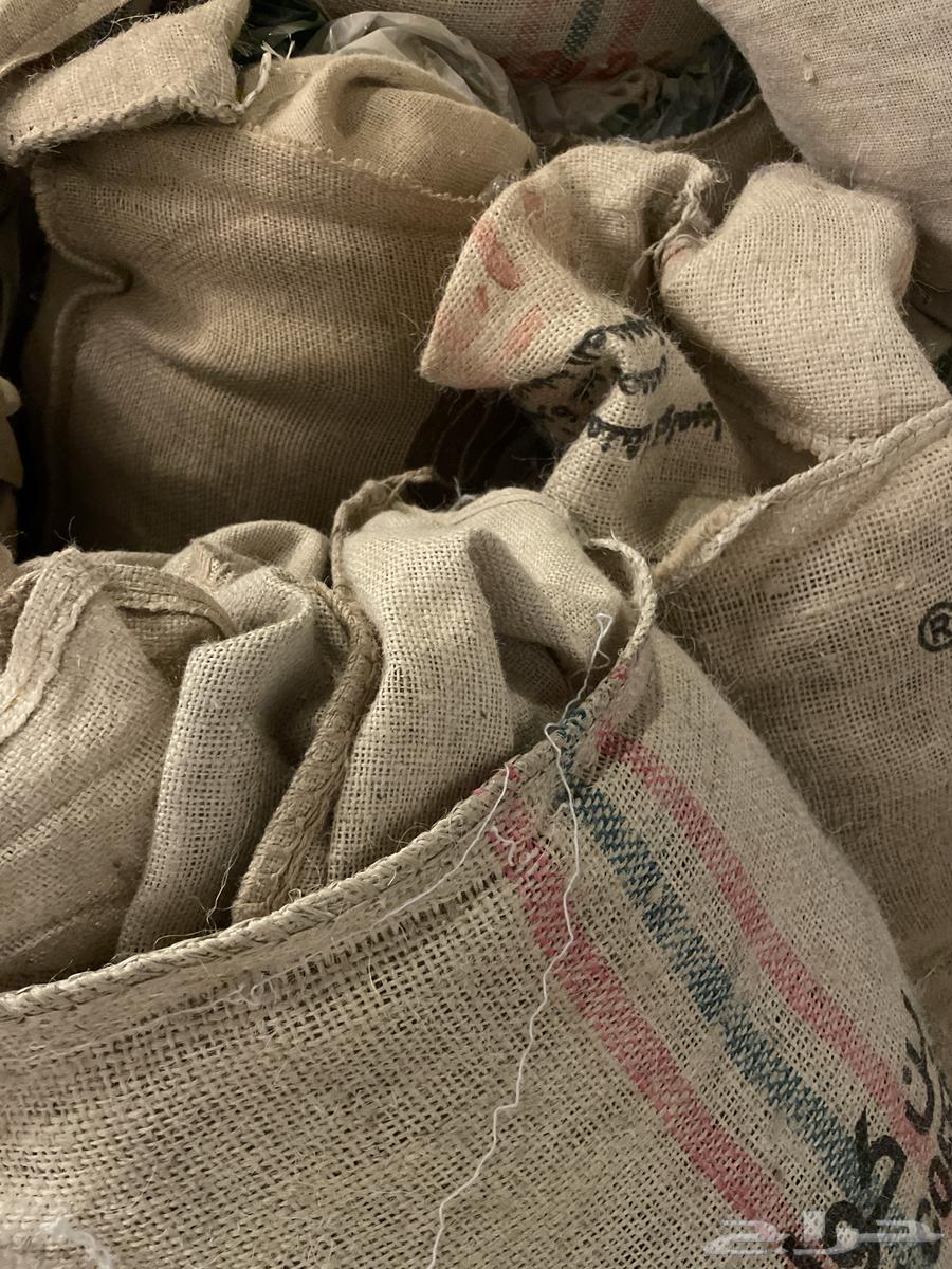 خياش فاضيه64411283844737112