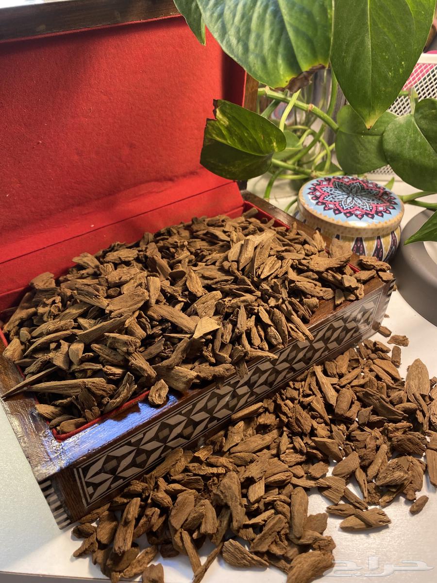 دقة عود موروكي طبيعي (( بسعر التكلفة ))64407727294210110