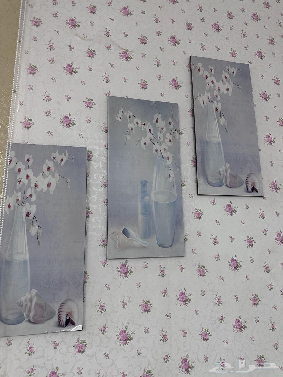 مجموعة أغراض جميعها ب500 ريال64408765736834111