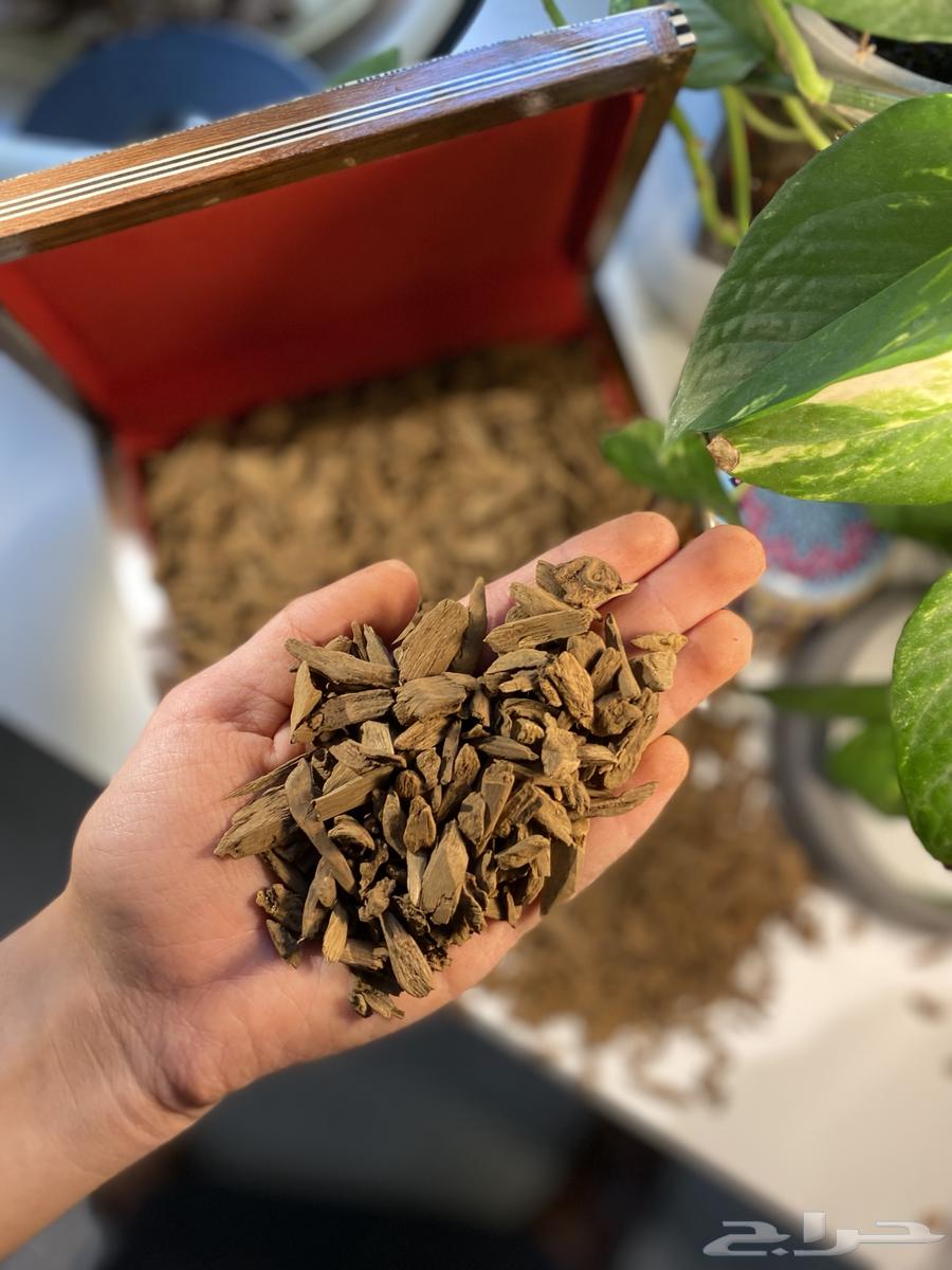 دقة عود موروكي طبيعي (( بسعر التكلفة ))64407727294210111