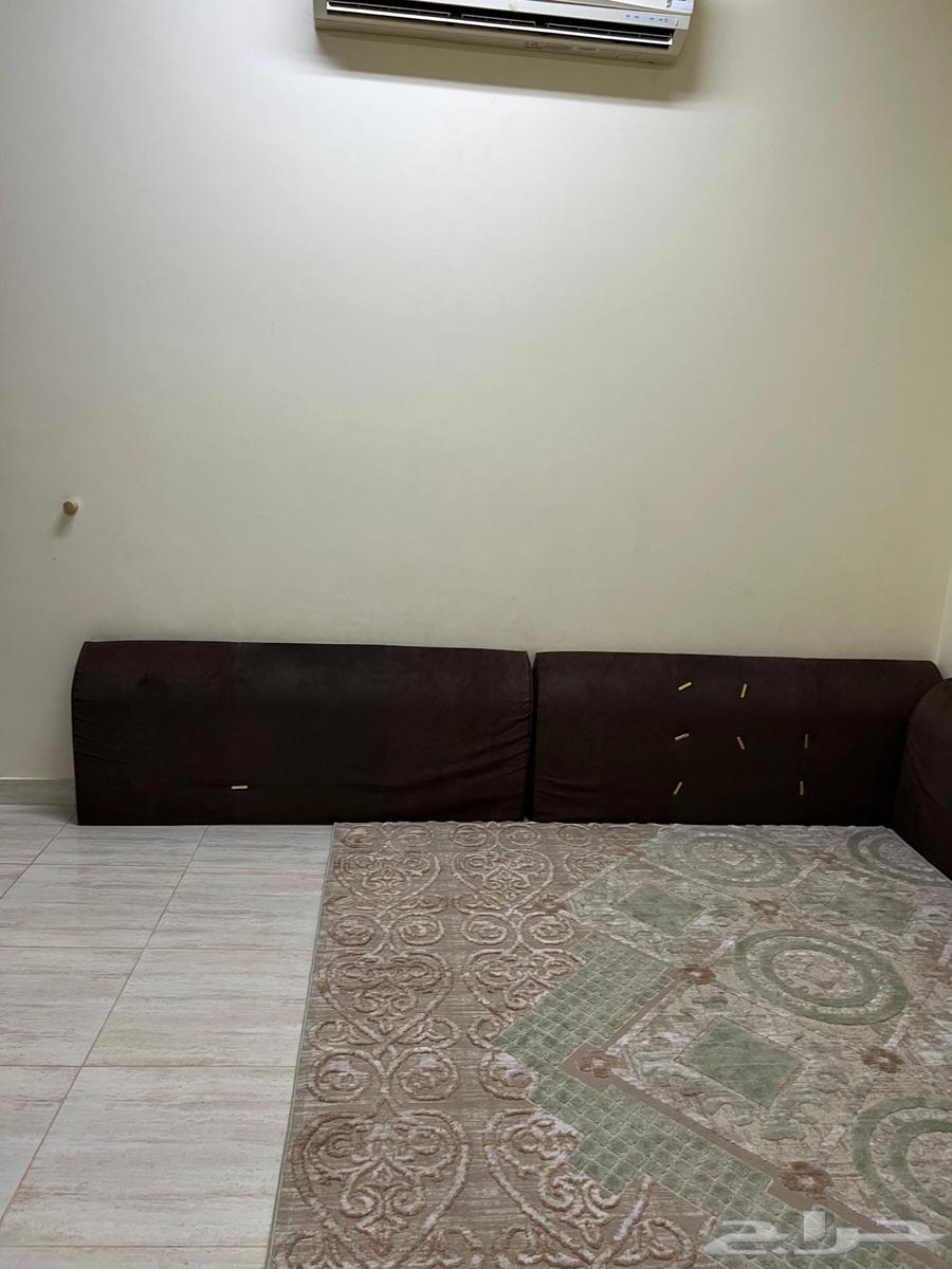 مخاد للبيع (تم البيع)64411875274114113