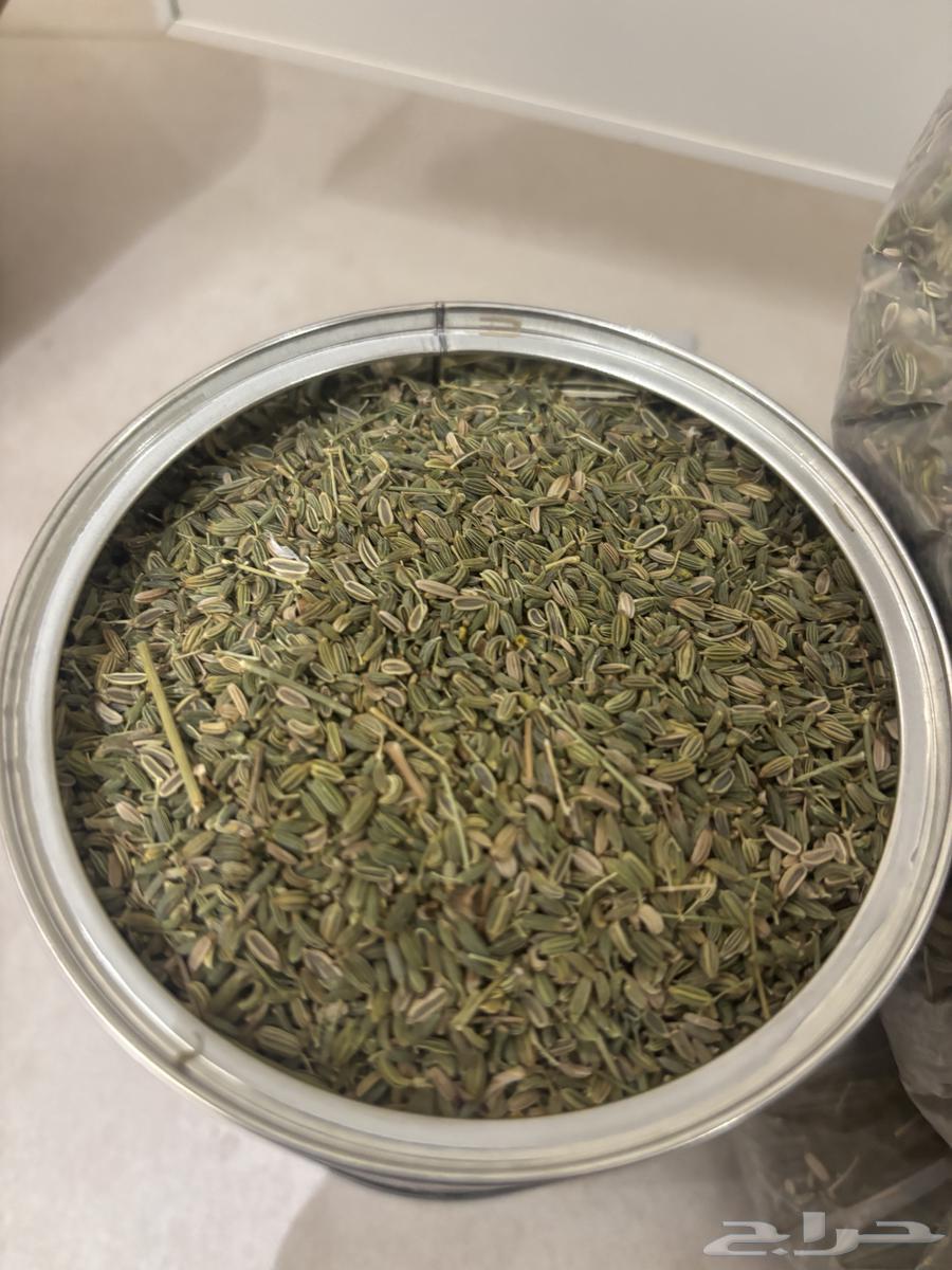 سنوت بلدي64405278970882112