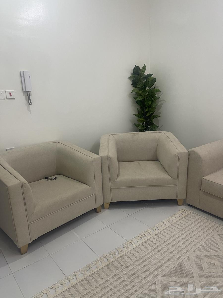 كنب جديد64407266213762111