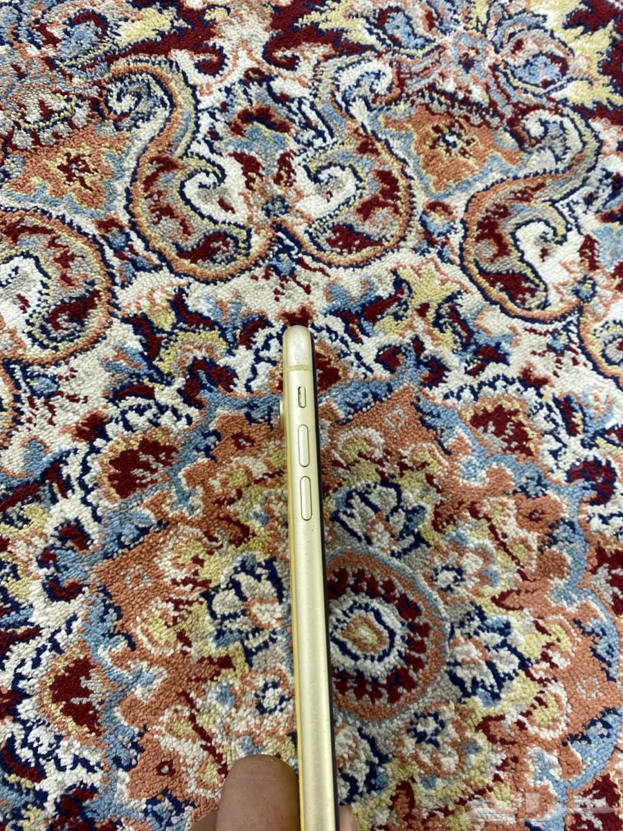 iPhone XR64409755305859113