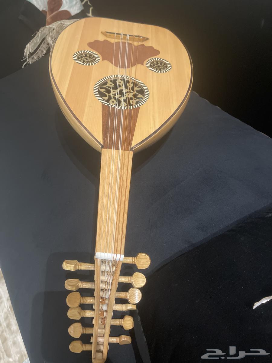 عود مصري للبيع   .64408063366401110