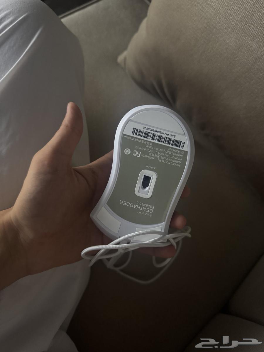 Mouse64405250525697113