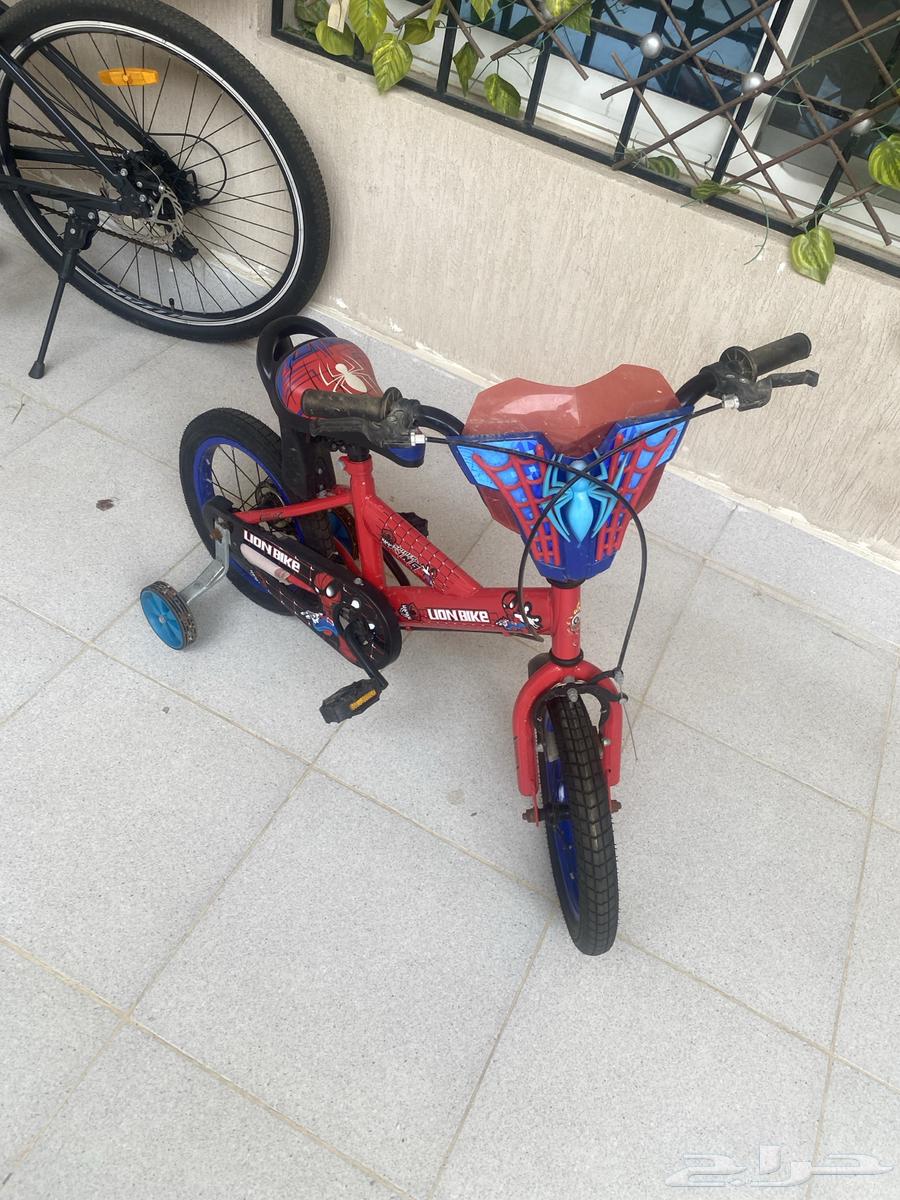 عجله واسكوتر كهربائي64409366830594112