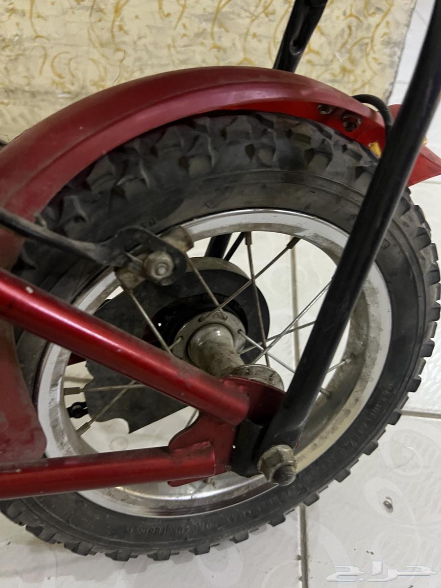 سيكل كوبرا مقاس 12 استخدام خفيف سلسلة جديدة مع بعض الاستخد64408552933249113