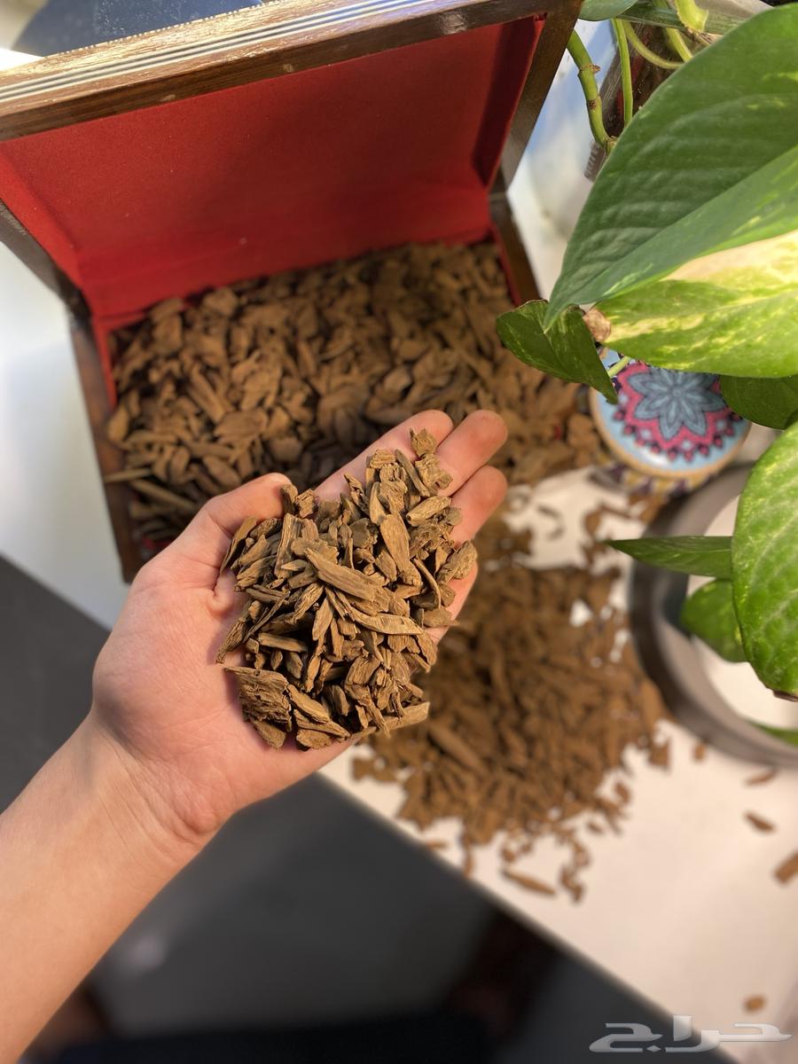 دقة عود موروكي طبيعي (( بسعر التكلفة ))64407727294210112