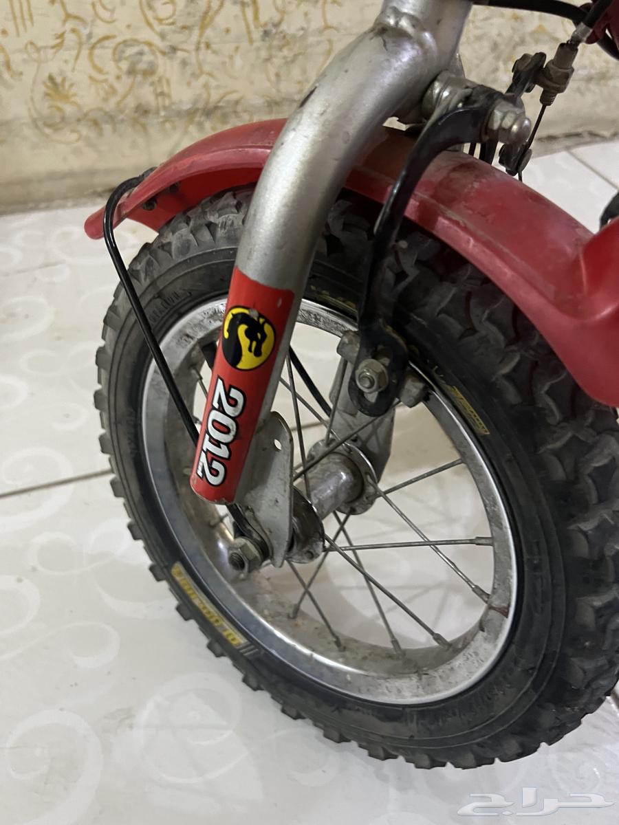 سيكل كوبرا مقاس 12 استخدام خفيف سلسلة جديدة مع بعض الاستخد64408552933249114