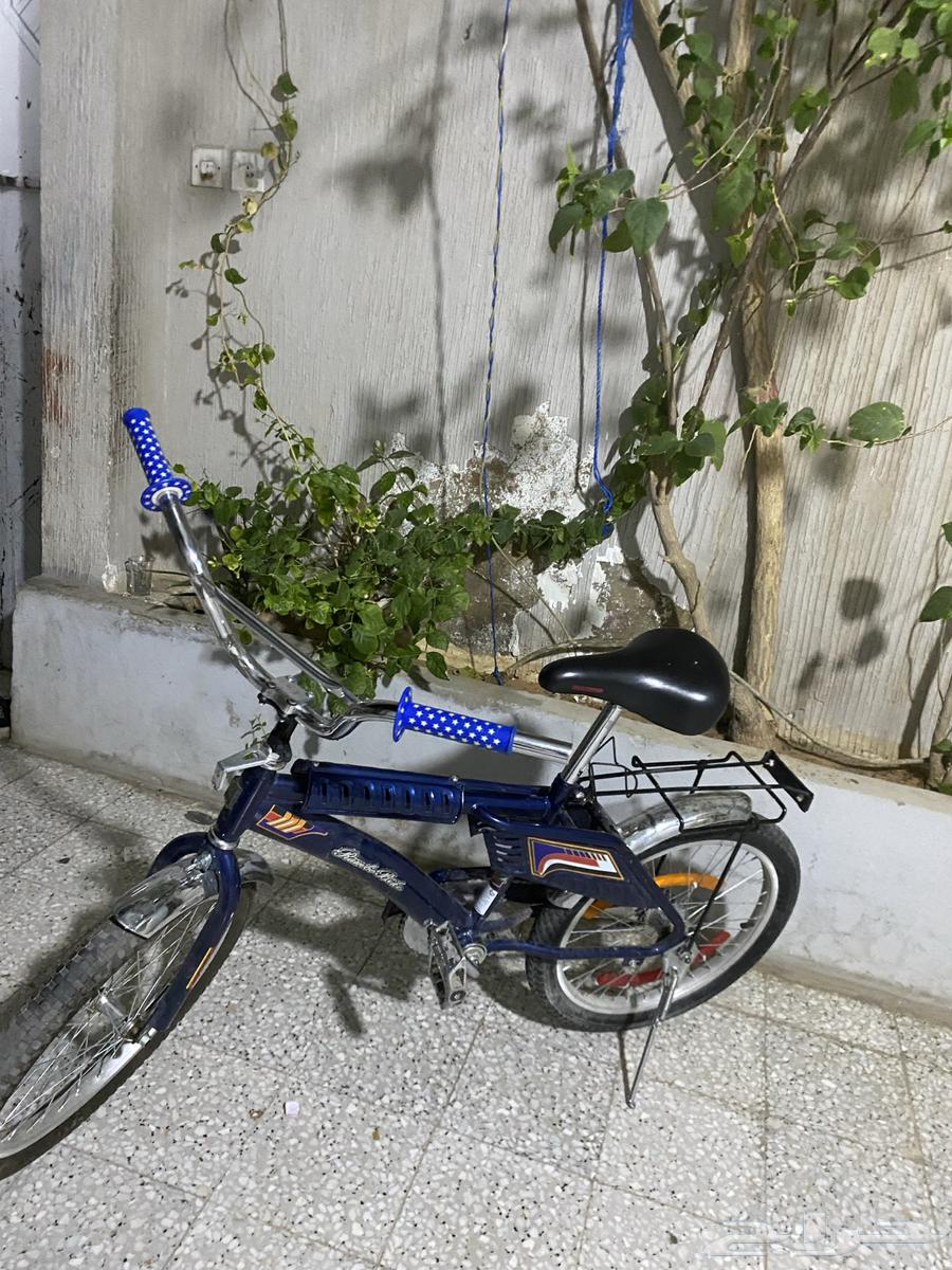 سيكل رامبو64410391568641110