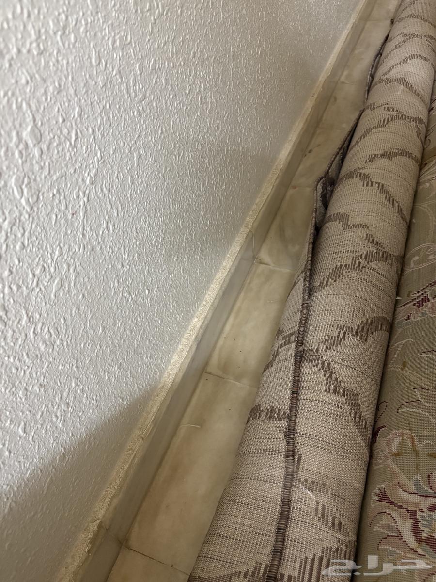 سجادات للبيع64411540763522112