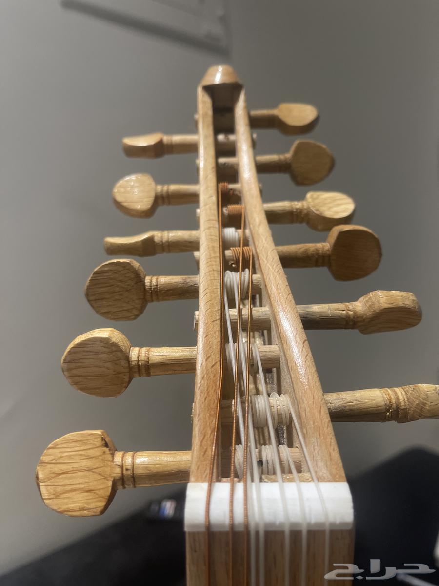 عود مصري للبيع   .64408063366401112