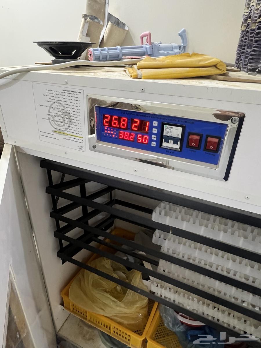 فقاصه للبيع نضيف64409810357379111