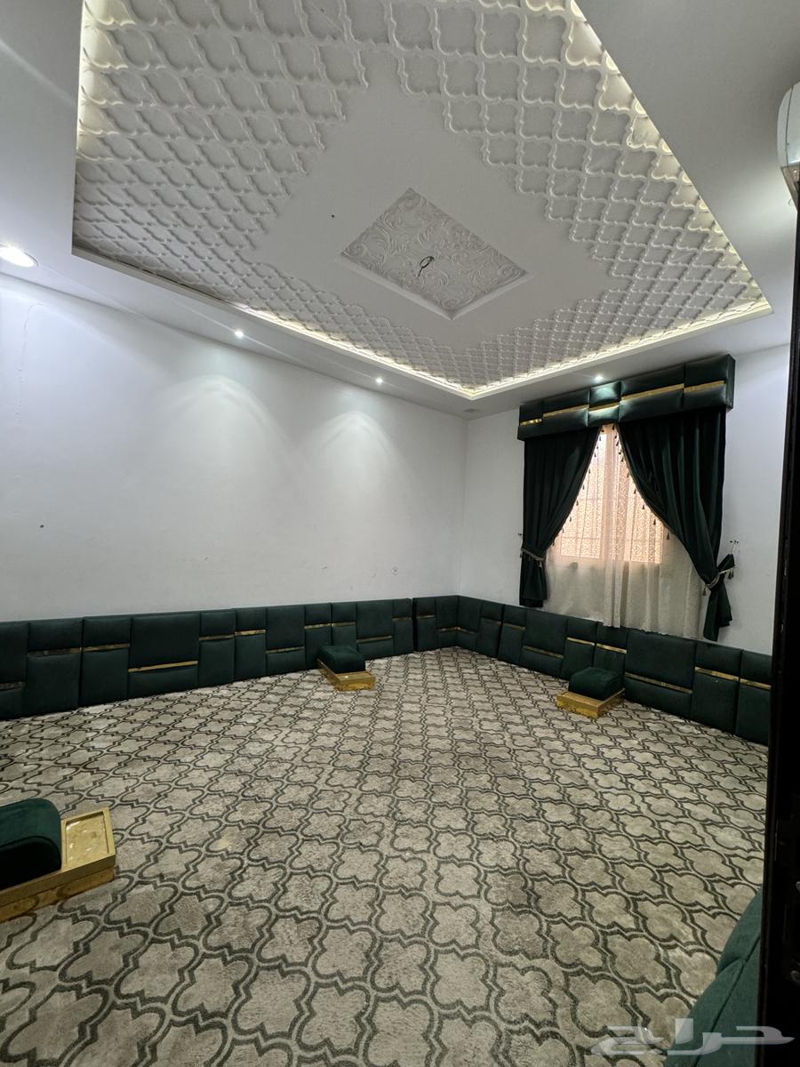 Carpet64409948833026110