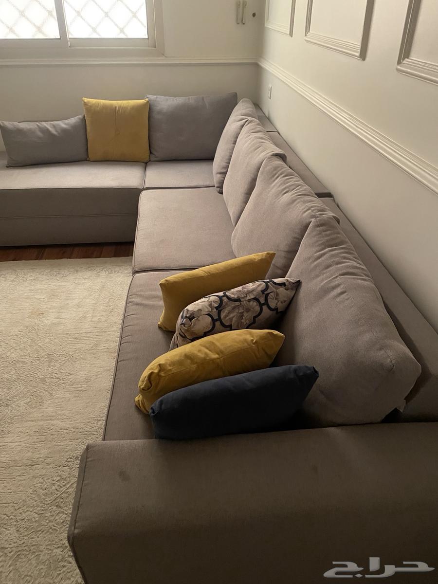 الرياض النرجس64411661349122111