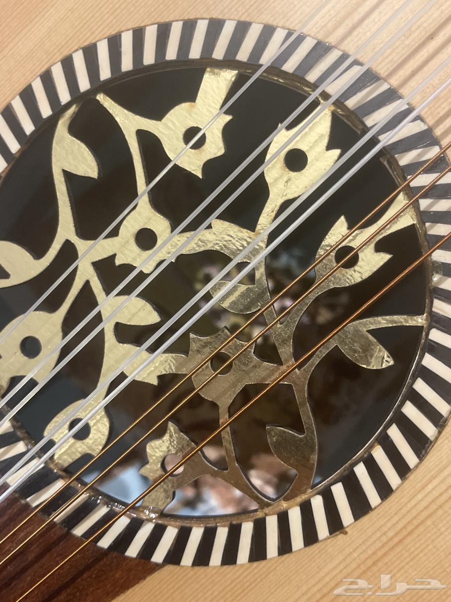 عود مصري للبيع   .64408063366401111