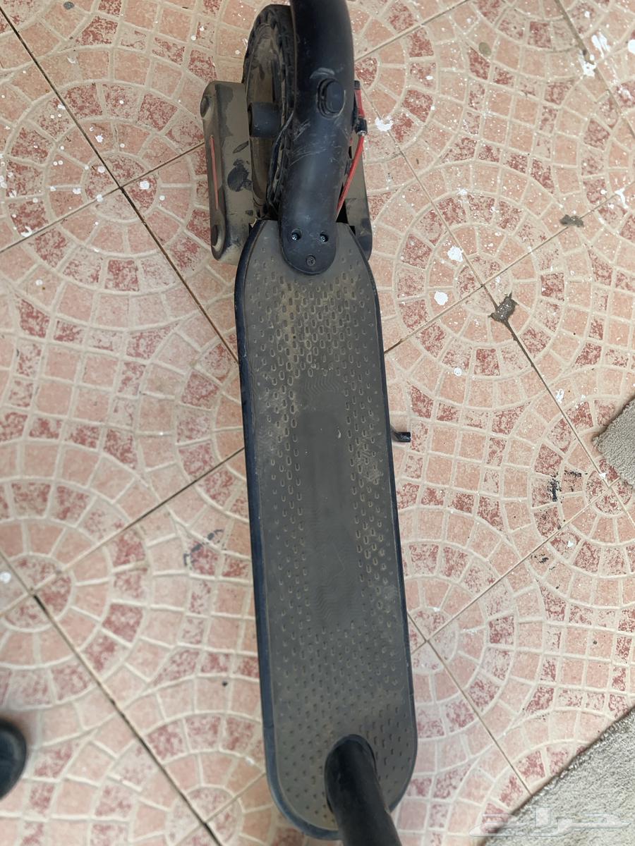 سكوتر شبيه شاومي يمشي 100km64408441334914112